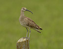 BUITEN BEELD Foto: 66923