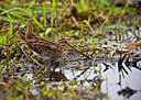 BUITEN BEELD Foto: 66940
