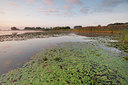 BUITEN BEELD Foto: 66972