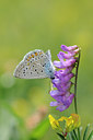 BUITEN BEELD Foto: 66994