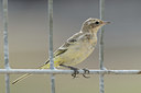 BUITEN BEELD Foto: 67007