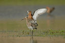 BUITEN BEELD Foto: 67009