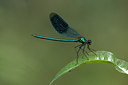 BUITEN BEELD Foto: 67036
