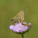 BUITEN BEELD Foto: 67072