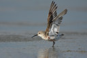 BUITEN BEELD Foto: 67087