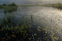 BUITEN BEELD Foto: 67094