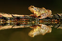 BUITEN BEELD Foto: 67103