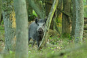 BUITEN BEELD Foto: 67106