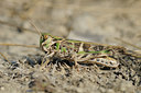 BUITEN BEELD Foto: 67163