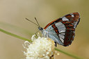 BUITEN BEELD Foto: 67168