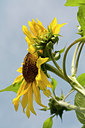 BUITEN BEELD Foto: 67175
