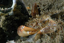 BUITEN BEELD Foto: 67232