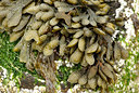 BUITEN BEELD Foto: 67248