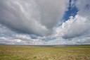 BUITEN BEELD Foto: 67253