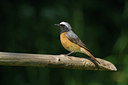 BUITEN BEELD Foto: 67274