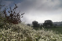 BUITEN BEELD Foto: 67280