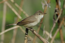 BUITEN BEELD Foto: 67281