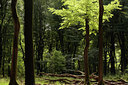 BUITEN BEELD Foto: 67295