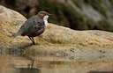 BUITEN BEELD Foto: 67306