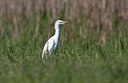 BUITEN BEELD Foto: 67404