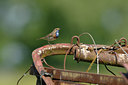 BUITEN BEELD Foto: 67433