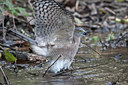 BUITEN BEELD Foto: 67465