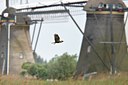 BUITEN BEELD Foto: 67502