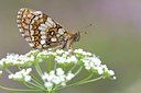 BUITEN BEELD Foto: 67516