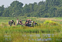 BUITEN BEELD Foto: 67536