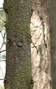 BUITEN BEELD Foto: 67543