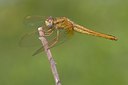 BUITEN BEELD Foto: 67553