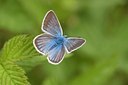 BUITEN BEELD Foto: 67559