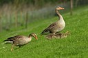 BUITEN BEELD Foto: 67600