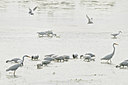 BUITEN BEELD Foto: 67612
