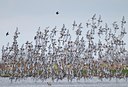 BUITEN BEELD Foto: 67635