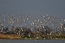 BUITEN BEELD Foto: 67643