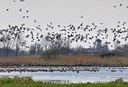 BUITEN BEELD Foto: 67646