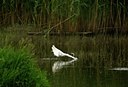 BUITEN BEELD Foto: 67692
