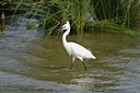 BUITEN BEELD Foto: 67693