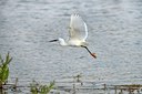 BUITEN BEELD Foto: 67700