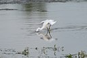 BUITEN BEELD Foto: 67704