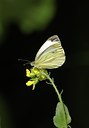 BUITEN BEELD Foto: 67705