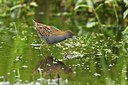 BUITEN BEELD Foto: 67724