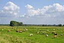 BUITEN BEELD Foto: 67737
