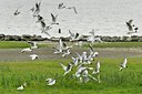 BUITEN BEELD Foto: 67739