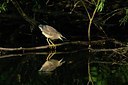 BUITEN BEELD Foto: 67766