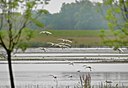 BUITEN BEELD Foto: 67768