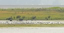 BUITEN BEELD Foto: 67769