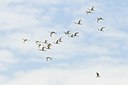 BUITEN BEELD Foto: 67792
