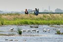 BUITEN BEELD Foto: 67793